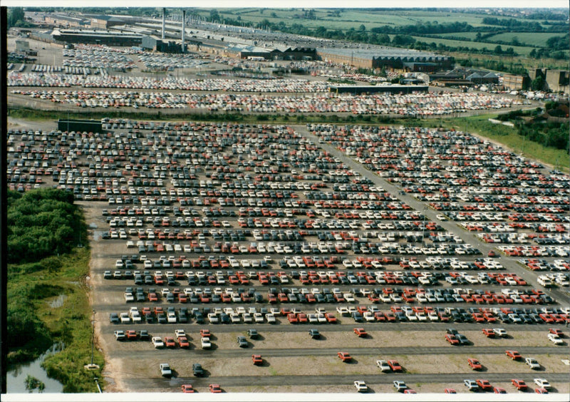 Incredible Carpet of Peugeots at the Ryton holding area. - Vintage Photograph