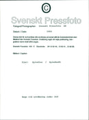 Spider Web - Vintage Photograph