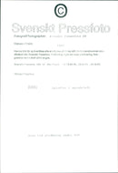 Spider Net - Vintage Photograph