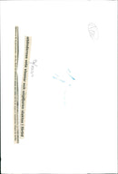 CRAWL ANIMALS ALMOST YOUNG EBONDS TIMES WHEAT AND ANCIENT COMMON COWS ARE - Vintage Photograph