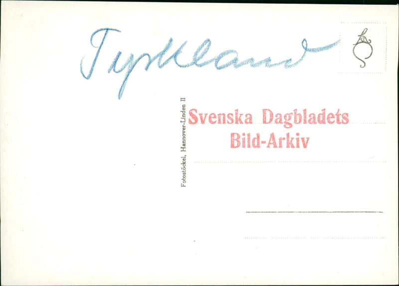 Old aircraft models -  Jungnann Bücker plane - Vintage Photograph