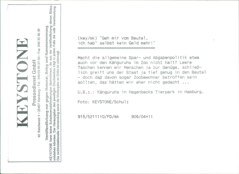 Kangaroo - Vintage Photograph