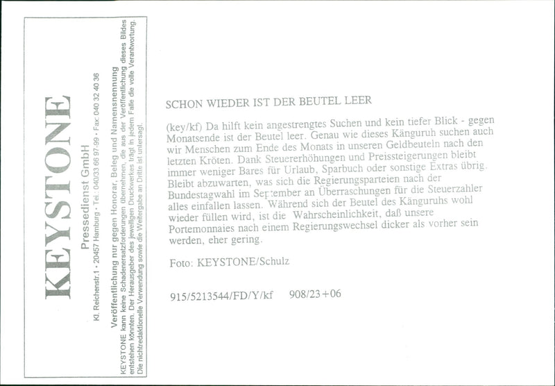 Kangaroo - Vintage Photograph