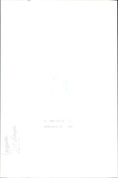 Kangaroo - Vintage Photograph