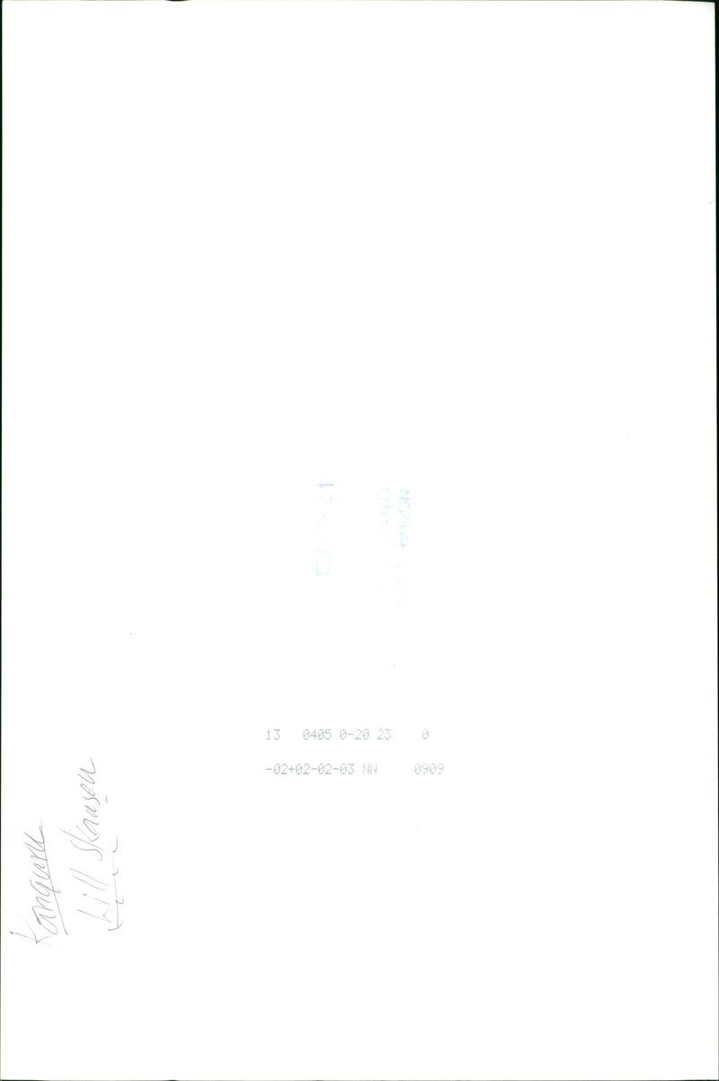 Kangaroo - Vintage Photograph