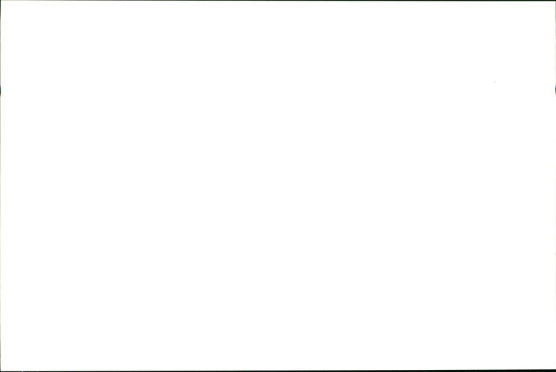 Kangaroo - Vintage Photograph