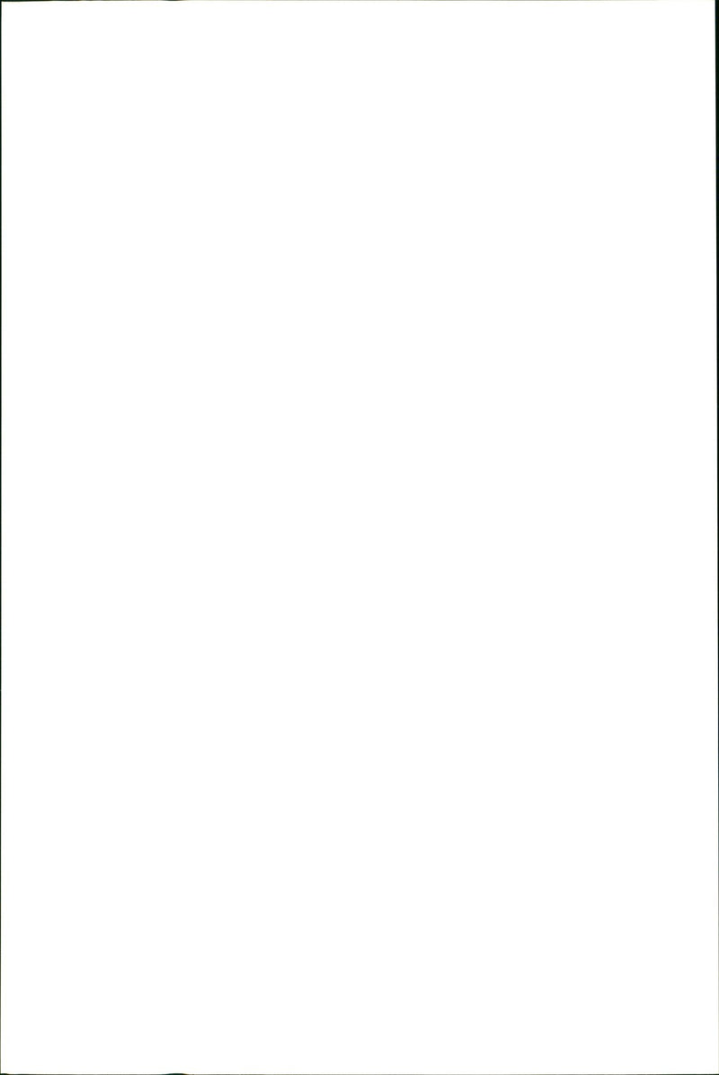 Kangaroo - Vintage Photograph