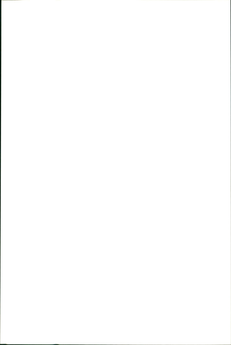 Kangaroo - Vintage Photograph