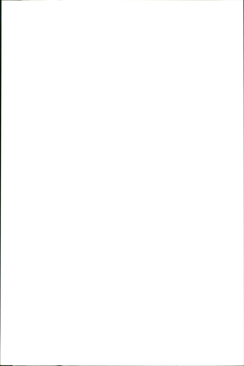 Kangaroo - Vintage Photograph