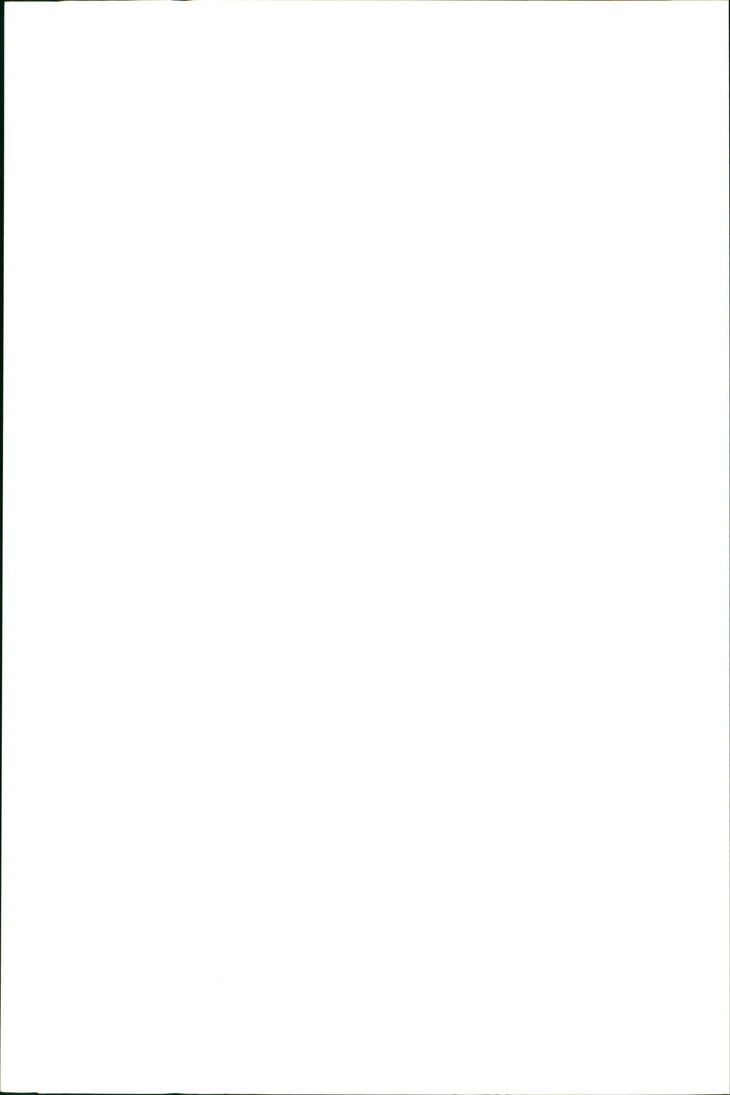 Kangaroo - Vintage Photograph