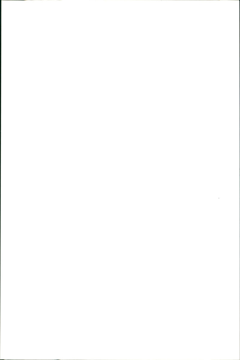 Kangaroo - Vintage Photograph