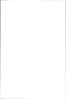 Kangaroo - Vintage Photograph