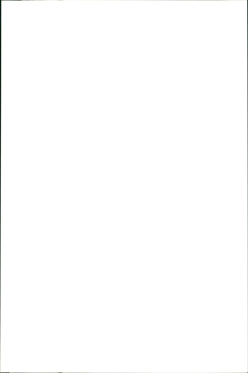 Kangaroo - Vintage Photograph