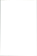 Kangaroo - Vintage Photograph