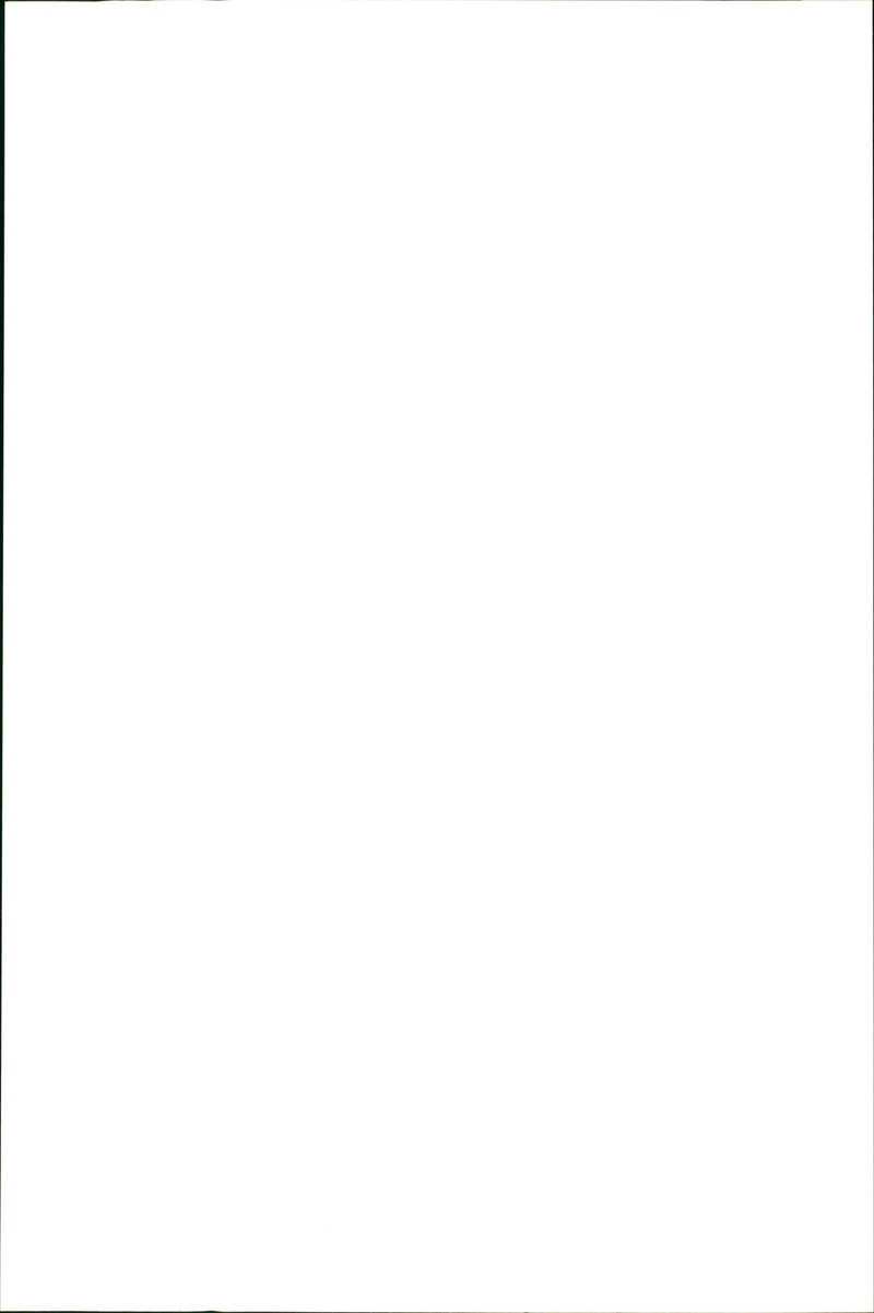 Kangaroo - Vintage Photograph