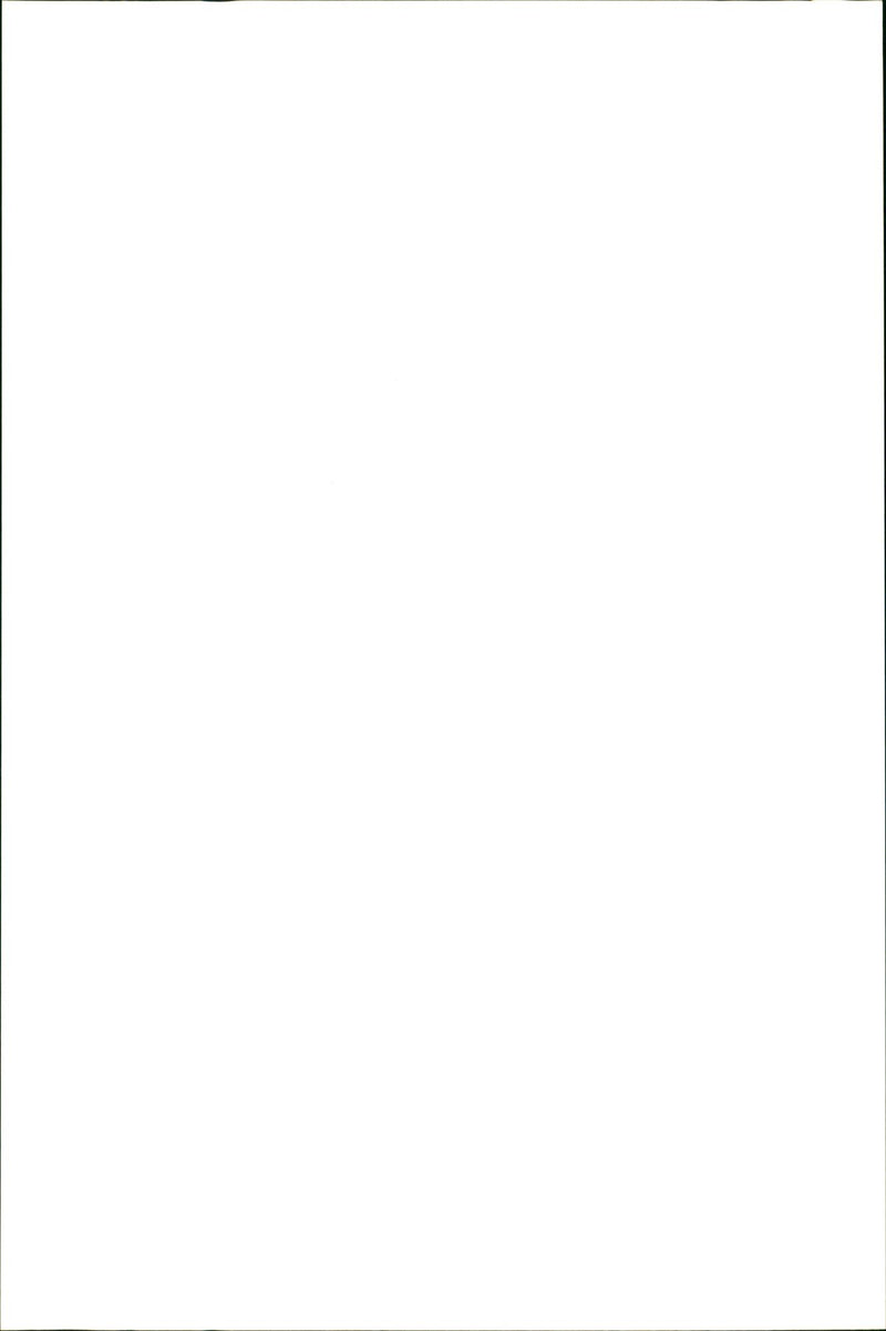 Kangaroo - Vintage Photograph