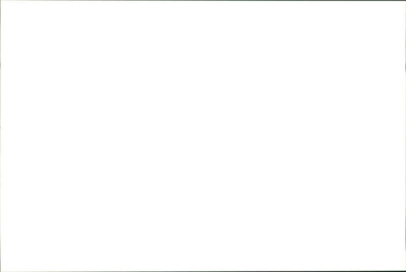 Kangaroo - Vintage Photograph