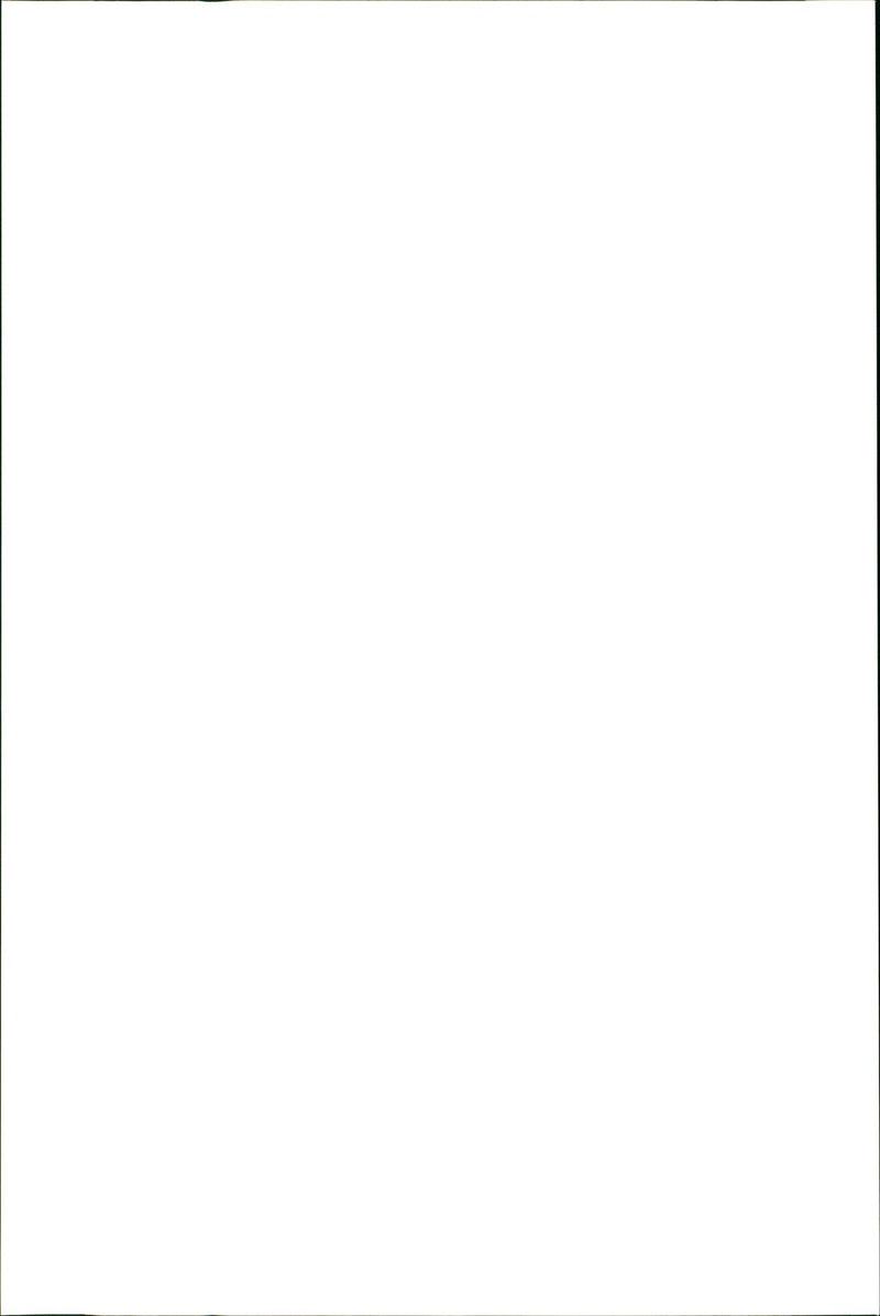 Kangaroo - Vintage Photograph