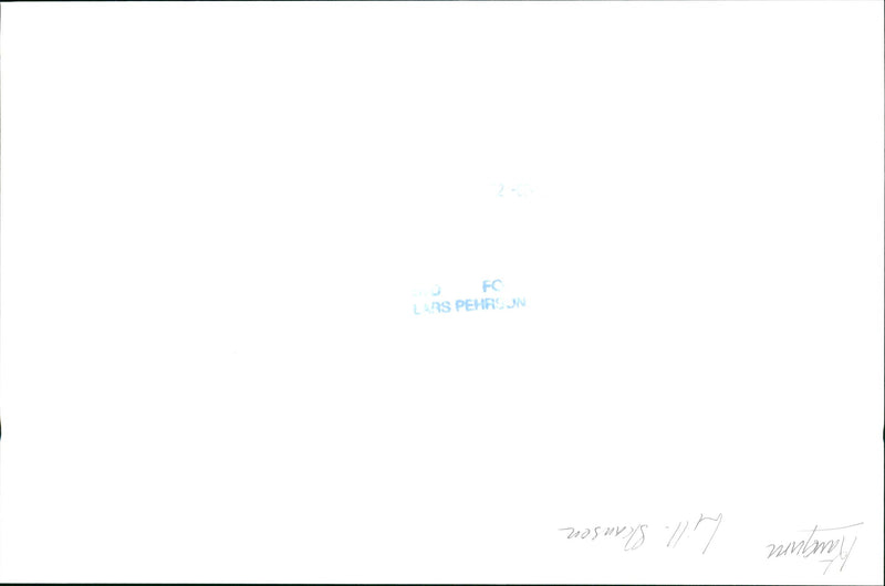 Kangaroo - Vintage Photograph