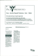 Animals: Cattle and Bulls - Vintage Photograph