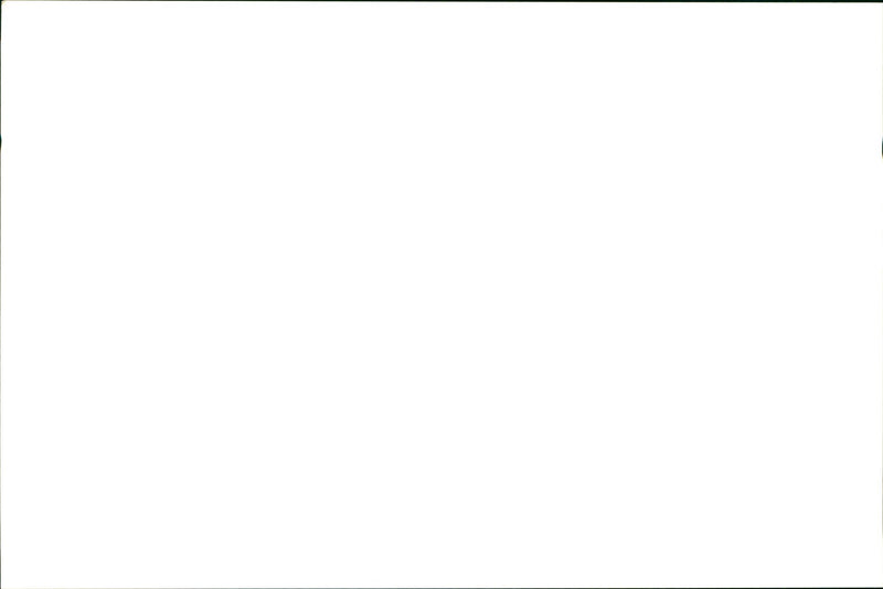 Dog billiard - Vintage Photograph