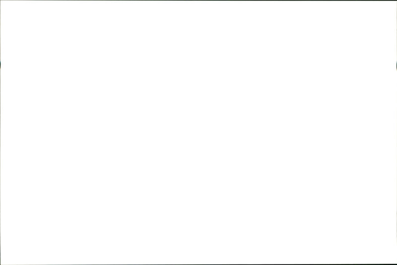 Dog Billiard - Vintage Photograph