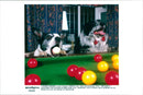 Dog Billiard - Vintage Photograph