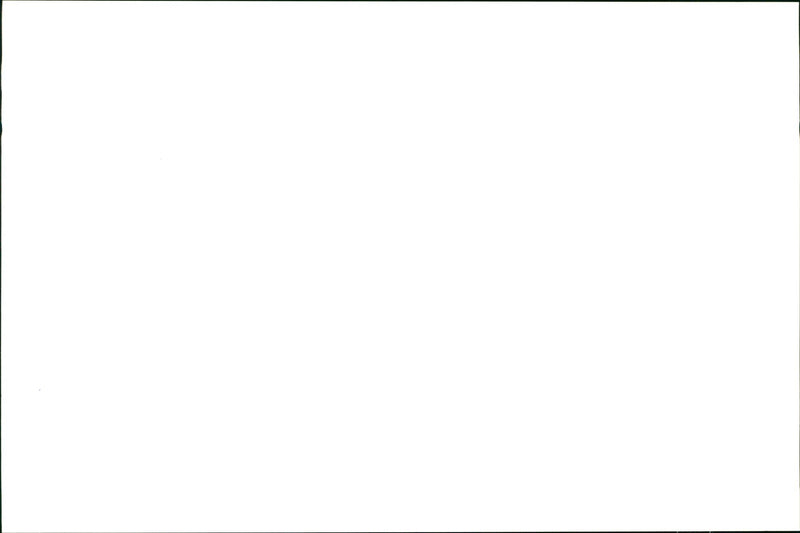 Greyhound lurcher Raja with owner Jenny Hunt - Vintage Photograph