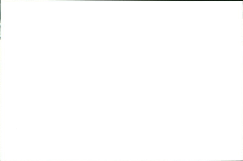 Dog injuries - Vintage Photograph