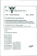 Dog show at the Älvsjö fair. - Vintage Photograph