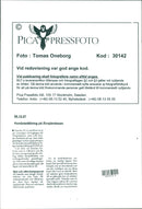 Dog show at the Älvsjö fair. - Vintage Photograph