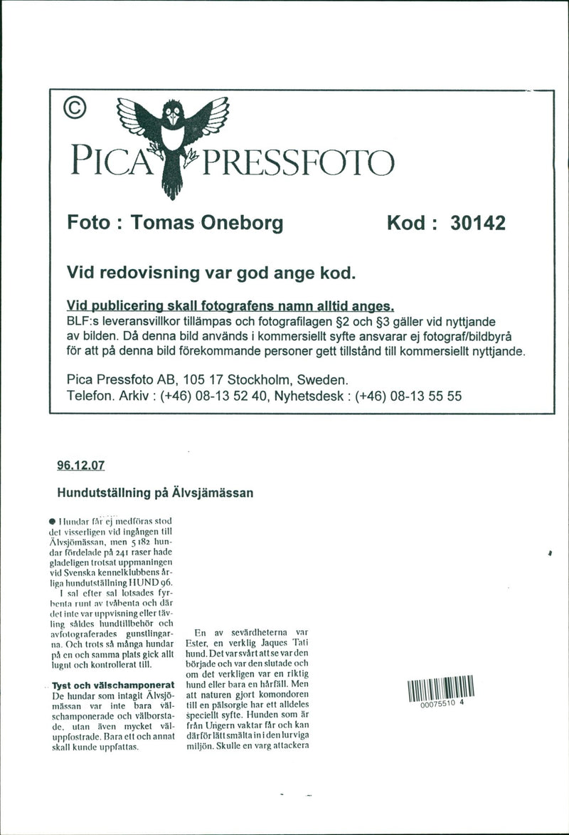 Dog show at the Älvsjö fair. - Vintage Photograph