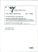 Funny pictures with animals. - Vintage Photograph