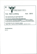 Funny pictures with animals. - Vintage Photograph