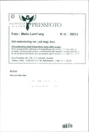 Funny pictures with animals. - Vintage Photograph