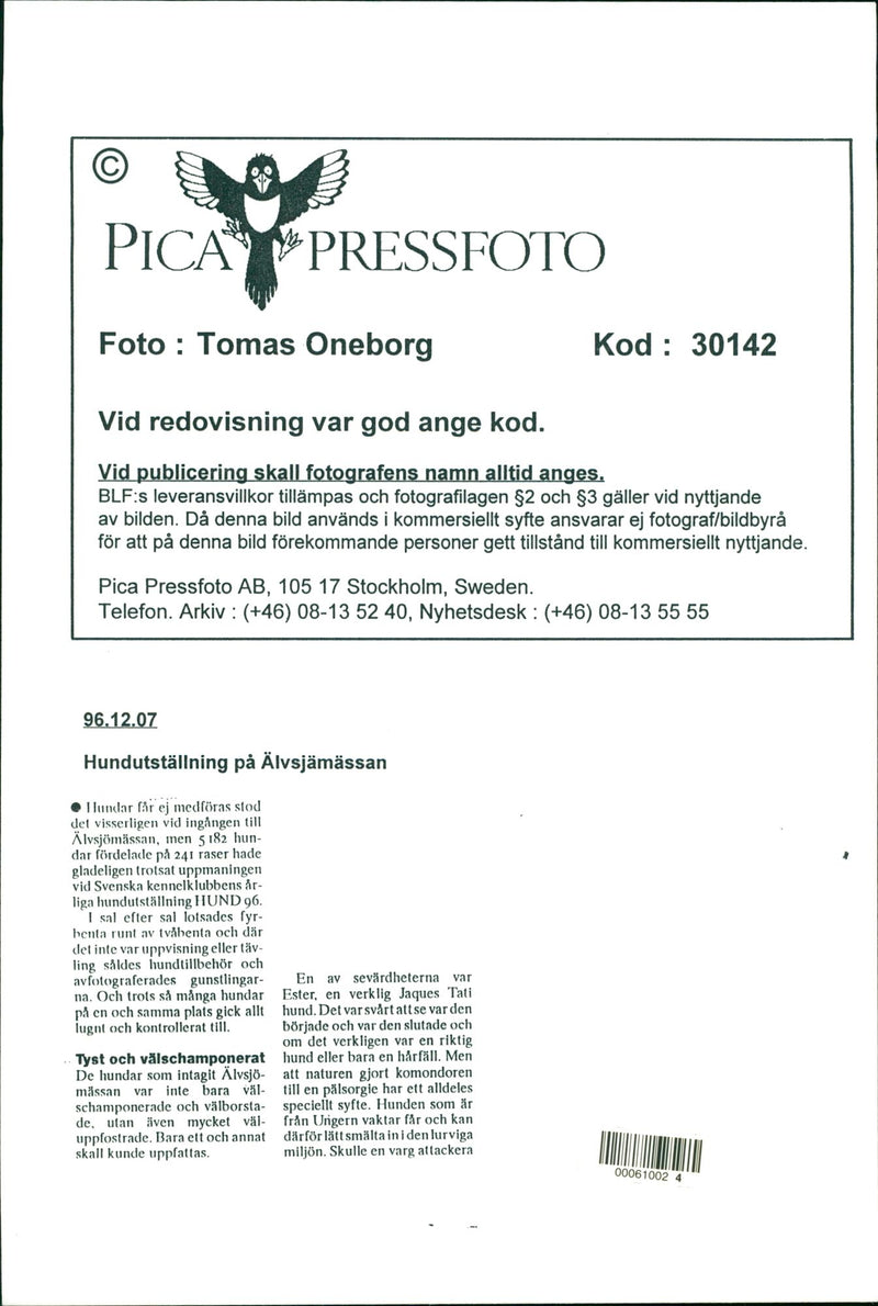 Funny pictures with animals. - Vintage Photograph