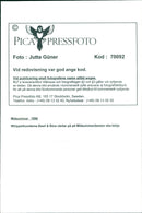 Funny pictures with animals. - Vintage Photograph