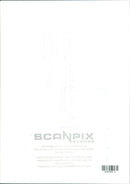 Cats. - Vintage Photograph