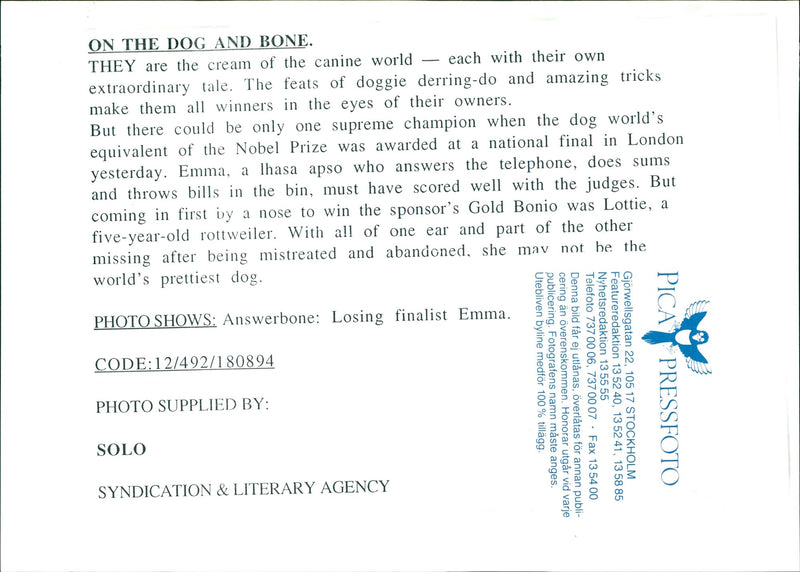 On the dog and bone. - Vintage Photograph