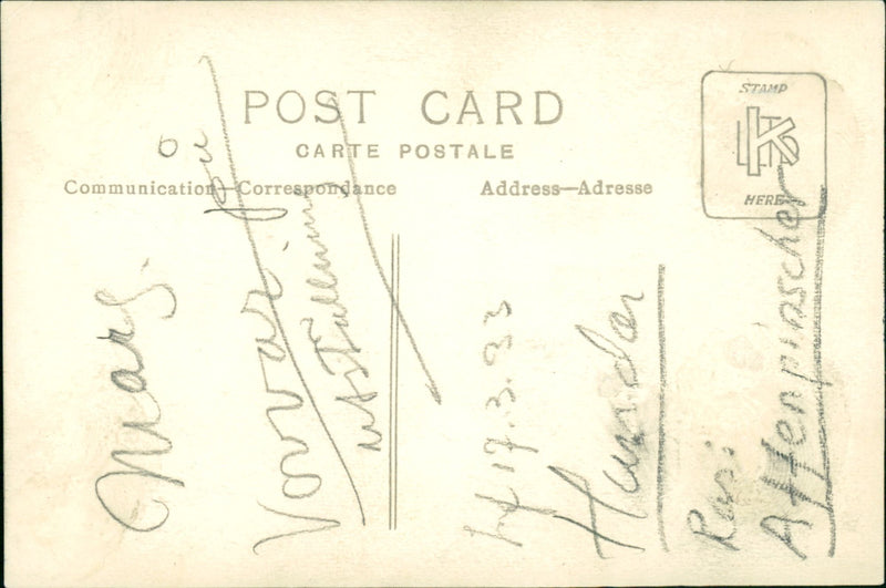 Dog. - Vintage Photograph