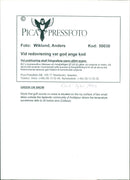 Animals Reindeer - Vintage Photograph