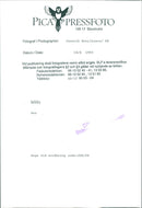 Animals Reindeer - Vintage Photograph