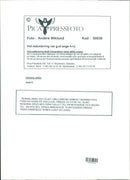 Animals Reindeer - Vintage Photograph