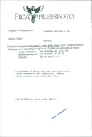 Cat ANIMALS - Vintage Photograph