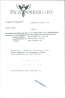 Cat ANIMALS - Vintage Photograph