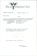 Cat ANIMALS - Vintage Photograph