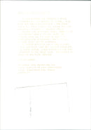 Cat ANIMALS - Vintage Photograph