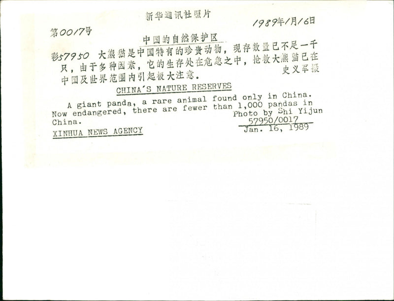 1989 SINGLED ONLY ANIMAL NATURE KNOWN AMERICAN FILM PRESS - Vintage Photograph