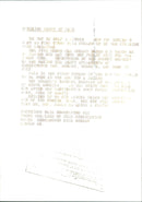 Animals Ocelot - Vintage Photograph