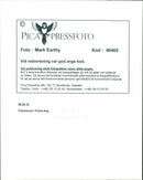 Prairie dogs - Vintage Photograph